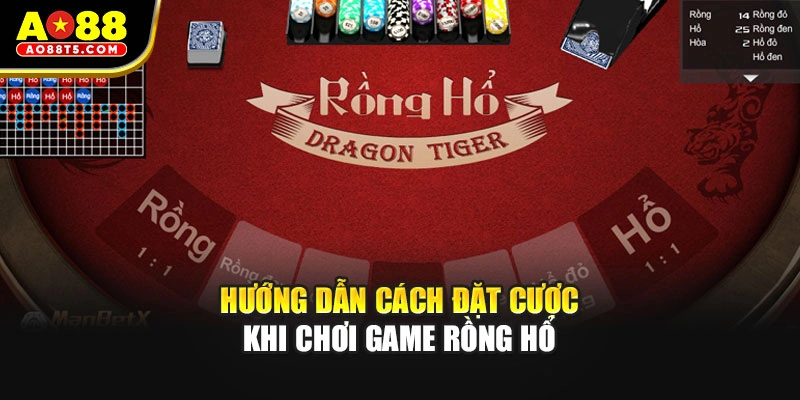 Hướng dẫn cách đặt cược khi chơi game rồng hổ